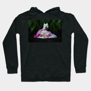 Aurora Hoodie